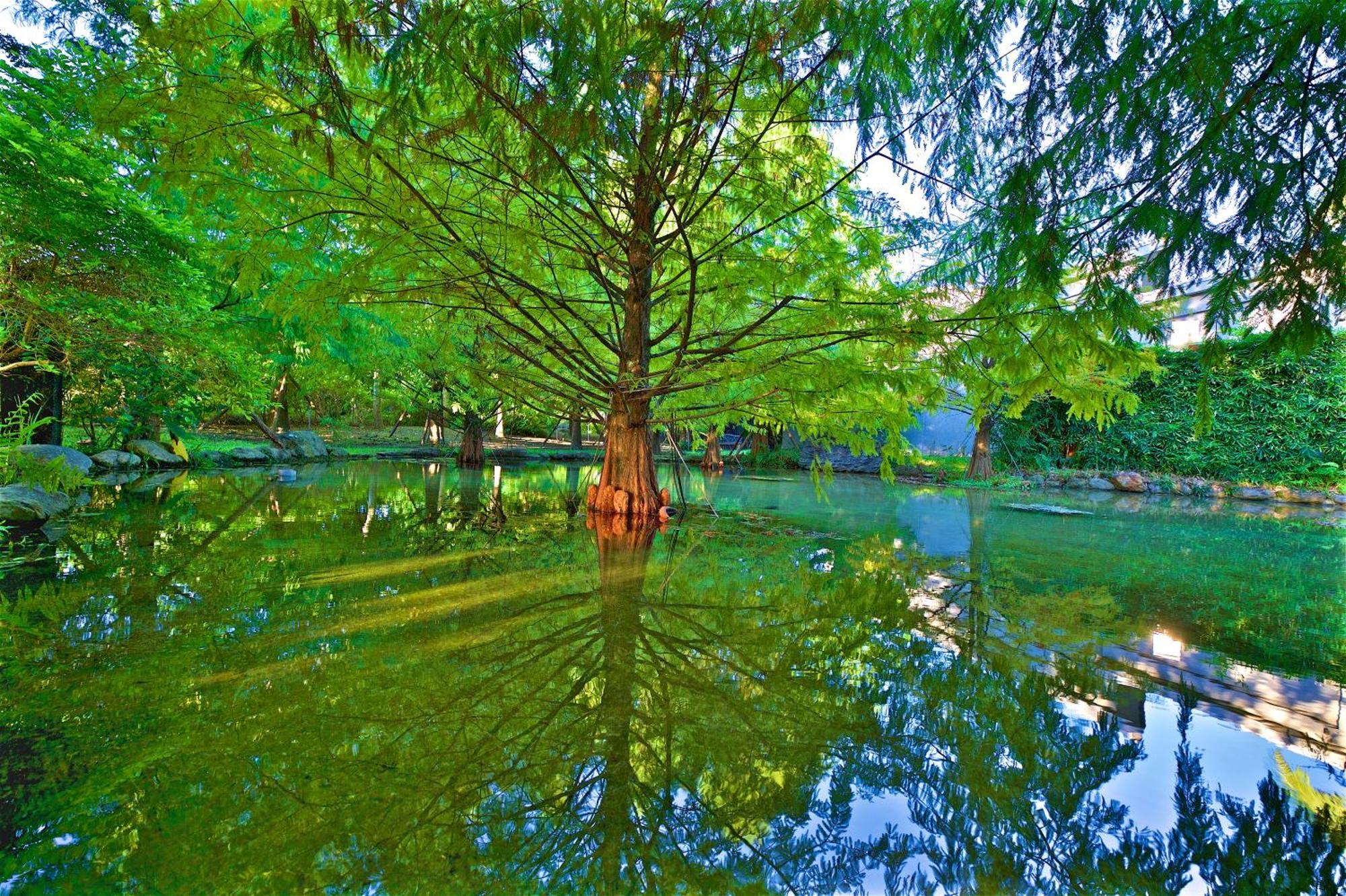 Gaeavilla Resort Ji'an Dış mekan fotoğraf